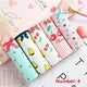 5PCS/lot Women Panties Sexy Cotton Underwear Cute Printed Intimate Plus Size Briefs Breathable pink Underpants lingerie