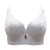 Lace Bra Push Up Bra Cup Plus Size