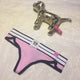 Comfortable Color Sexy Wide-Edged Cotton Lady Thong