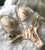 New Sexy Bikini Swimwear Women
