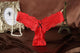 Plus Size S M L XL Women Super Sexy Thin G String Bowknot Lace Underwear Lady Thongs