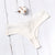 Pure Cotton Soft Women's Sexy Lace Panties Thongs G Strings Seamless Underwear Women Panty Briefs Bikini Cotton Crotch 2018 Hot