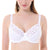 Underwired Full Coverage No Padding Floral Lace Plus Size Bra