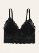 Floral Lace Scalloped Trim Bralette