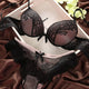2018 Sexy Underwear Women Bra Set Lingerie Set Luxurious Vintage Lace Embroidery Push Up Bra And Panty Set