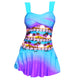 Two-Piece Rainbow Lady Tankini Swimdress Plus Size