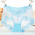 2Pcs/lot Brief Women Underwear Plus Size Transparent Panties