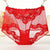 2Pcs/lot Brief Women Underwear Plus Size Transparent Panties