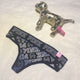 Comfortable Color Sexy Wide-Edged Cotton Lady Thong