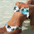 Women Push Up Bikini Coconut Tree Print Swimwear