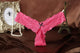 Plus Size S M L XL Women Super Sexy Thin G String Bowknot Lace Underwear Lady Thongs