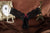 Plus Size S M L XL Women Super Sexy Thin G String Bowknot Lace Underwear Lady Thongs
