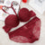 Sexy Elegant Bra and Panty Set Women Bras Underwear Lady band Push Up Bra Lingeries Bra Sets Brief Set Lingerie Set Free Ship