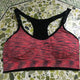 Sports Bra Quick Dry Sports Bra Women Padded Wirefree Adjustable Shakeproof Fitness Underwear Push Up Seamless Yoga Running Tops