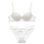 Sexy Lace Bra Transparent V Neck Temptation Push Up Bra Brief Set