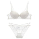 Sexy Lace Bra Transparent V Neck Temptation Push Up Bra Brief Set