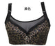 Push Up Bra Plus Size Brassiere